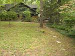 rear lawn before